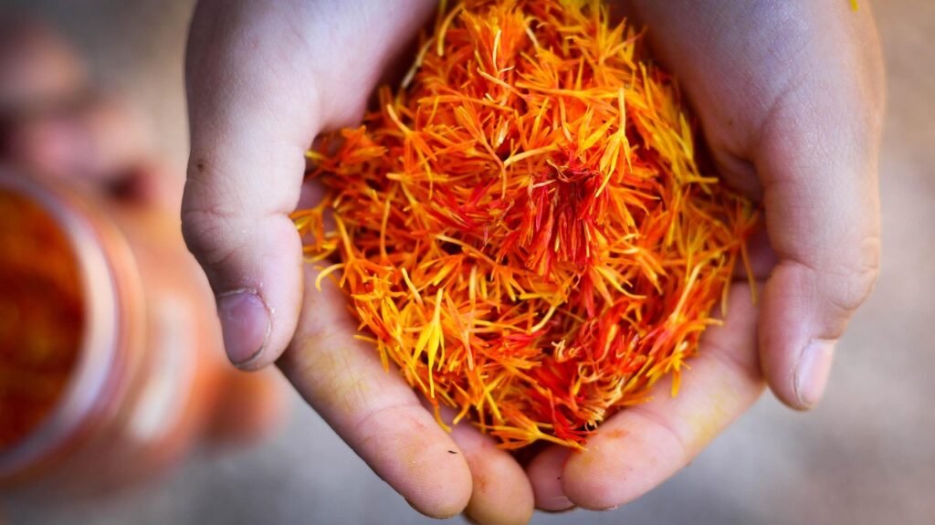 morocco  saffron, hand, natural, nature, saffron, saffron, saffron, saffron, saffron