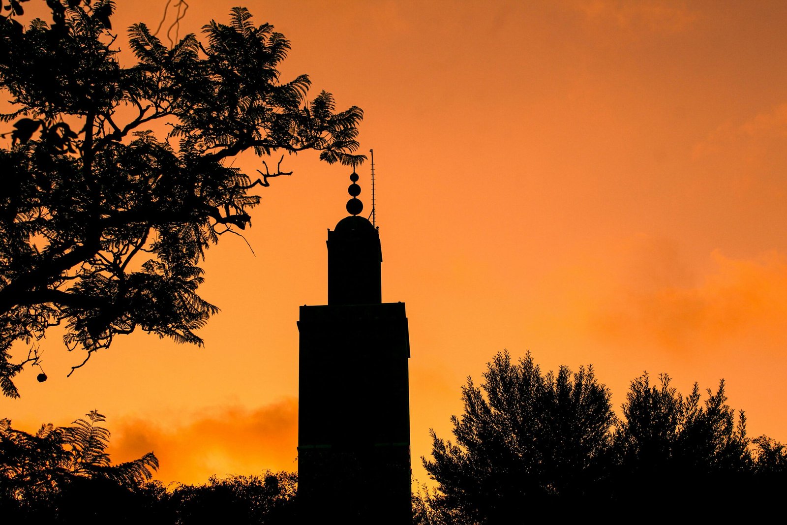 Free stock photo of cannon, orange sunset
